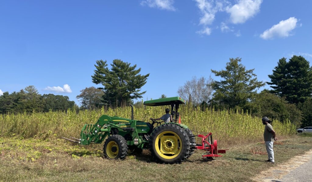 Hemp Bioremediation in Australian Agricultural Landscapes: A Phytoremediation Potential Study
