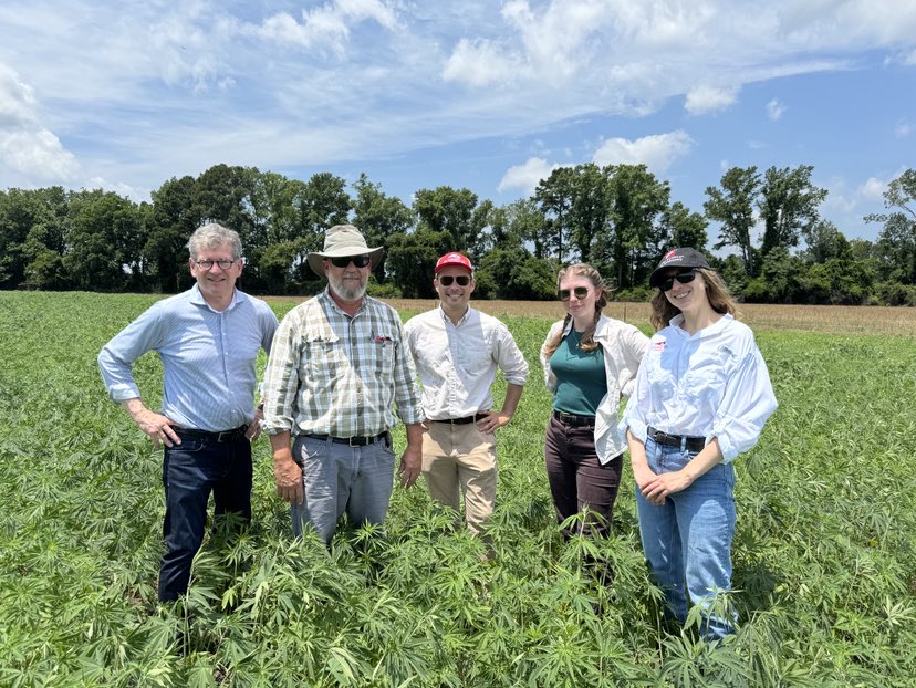 Building a Regional Hemp Industry: Case Studies from Australian Rural Communities
