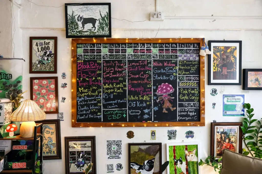 Blackboard displaying educational topics, including cannabis science for students